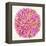 Burst in Pink Palette-Cat Coquillette-Framed Premier Image Canvas