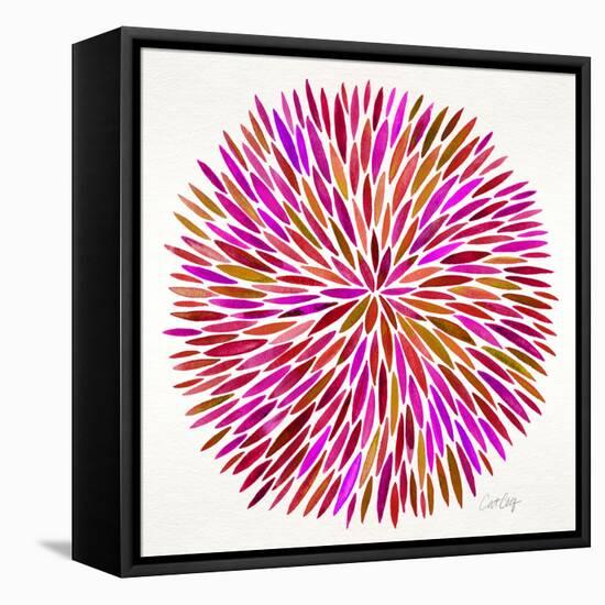 Burst in Pink Palette-Cat Coquillette-Framed Premier Image Canvas