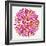 Burst in Pink Palette-Cat Coquillette-Framed Giclee Print