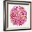 Burst in Pink Palette-Cat Coquillette-Framed Giclee Print