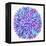 Burst in Purple Palette-Cat Coquillette-Framed Premier Image Canvas