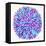 Burst in Purple Palette-Cat Coquillette-Framed Premier Image Canvas