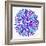 Burst in Purple Palette-Cat Coquillette-Framed Giclee Print