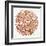 Burst in Rose Gold Palette-Cat Coquillette-Framed Giclee Print