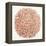 Burst in Rose Gold Palette-Cat Coquillette-Framed Premier Image Canvas