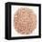 Burst in Rose Gold Palette-Cat Coquillette-Framed Premier Image Canvas