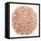 Burst in Rose Gold Palette-Cat Coquillette-Framed Premier Image Canvas