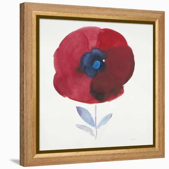 Burst of Bloom 1-Paulo Romero-Framed Stretched Canvas