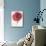 Burst of Bloom 2-Paulo Romero-Mounted Premium Giclee Print displayed on a wall