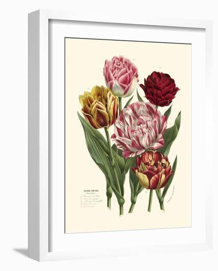Burst of Spring II-Vision Studio-Framed Art Print