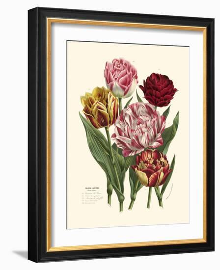 Burst of Spring II-Vision Studio-Framed Art Print