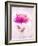 Bursting Floral-Ken Roko-Framed Art Print