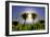 Bursting Through the Dandelions-Adrian Campfield-Framed Photographic Print