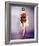 Burt Ward-null-Framed Photo