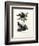 Buru Green Pigeon, 1864-null-Framed Giclee Print