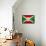 Burundi Flag Design with Wood Patterning - Flags of the World Series-Philippe Hugonnard-Framed Stretched Canvas displayed on a wall