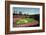 Busch Stadium, St Louis-Ira Rosen-Framed Art Print