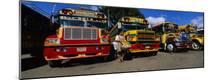 Photographic Print