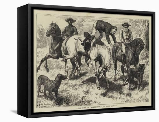 Bush Life in Australia, the Buck Jumper-Basil Bradley-Framed Premier Image Canvas