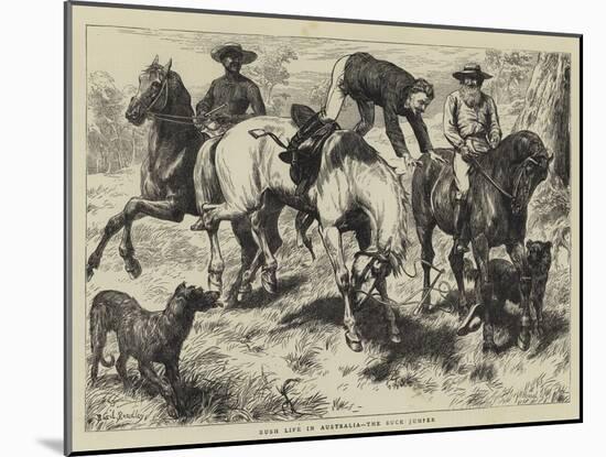 Bush Life in Australia, the Buck Jumper-Basil Bradley-Mounted Giclee Print