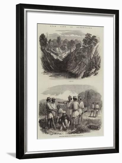 Bush Life in Queensland-null-Framed Giclee Print