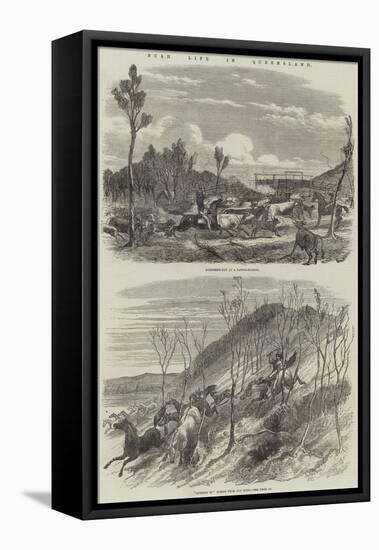 Bush Life in Queensland-Harrison William Weir-Framed Premier Image Canvas