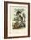 Bushbaby, 1863-79-Raimundo Petraroja-Framed Giclee Print