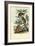 Bushbaby, 1863-79-Raimundo Petraroja-Framed Giclee Print