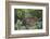 Bushbuck (Imbabala) (Tragelaphus Sylvaticus) Female, Kruger National Park, South Africa, Africa-James Hager-Framed Photographic Print