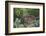 Bushbuck (Imbabala) (Tragelaphus Sylvaticus) Female, Kruger National Park, South Africa, Africa-James Hager-Framed Photographic Print