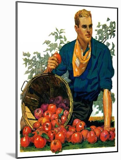 "Bushel of Apples,"November 14, 1931-John E. Sheridan-Mounted Giclee Print