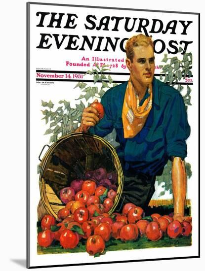 "Bushel of Apples," Saturday Evening Post Cover, November 14, 1931-John E. Sheridan-Mounted Giclee Print