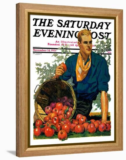 "Bushel of Apples," Saturday Evening Post Cover, November 14, 1931-John E. Sheridan-Framed Premier Image Canvas