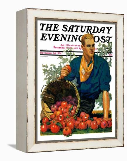 "Bushel of Apples," Saturday Evening Post Cover, November 14, 1931-John E. Sheridan-Framed Premier Image Canvas