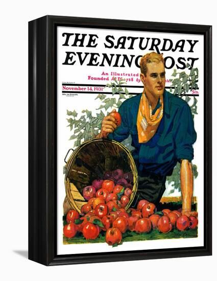 "Bushel of Apples," Saturday Evening Post Cover, November 14, 1931-John E. Sheridan-Framed Premier Image Canvas