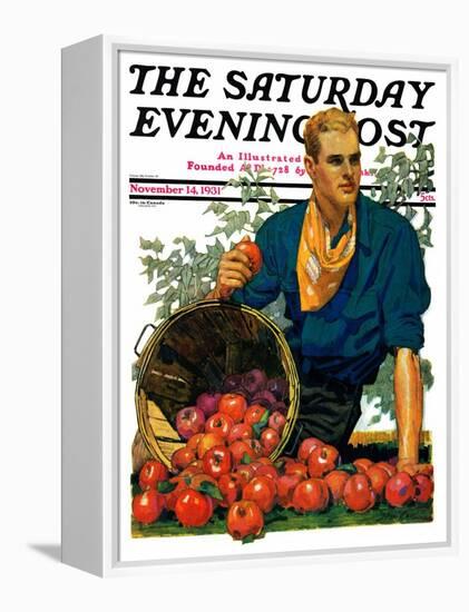 "Bushel of Apples," Saturday Evening Post Cover, November 14, 1931-John E. Sheridan-Framed Premier Image Canvas