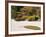 Bushes and Pagoda-Style Lamp in the Japanese Gardens, Washington Park, Portland, Oregon, USA-Janis Miglavs-Framed Photographic Print