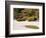 Bushes and Pagoda-Style Lamp in the Japanese Gardens, Washington Park, Portland, Oregon, USA-Janis Miglavs-Framed Photographic Print