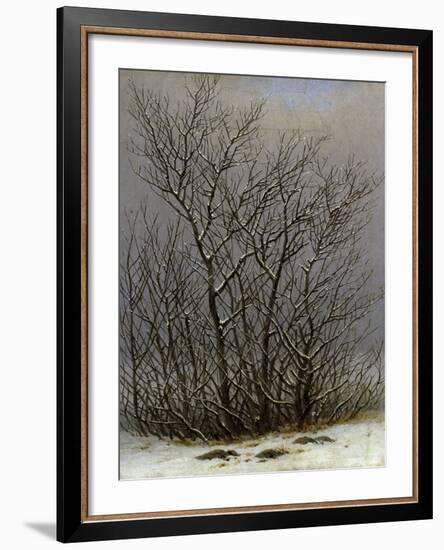 Bushes in the Snow-Caspar David Friedrich-Framed Giclee Print