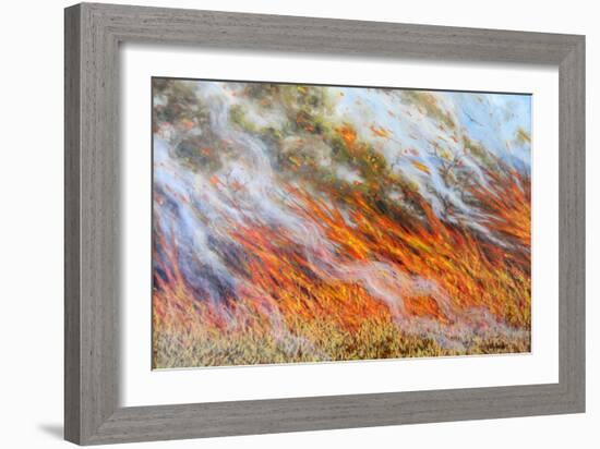 Bushfire Inferno, 2014-Tilly Willis-Framed Giclee Print