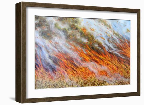 Bushfire Inferno, 2014-Tilly Willis-Framed Giclee Print