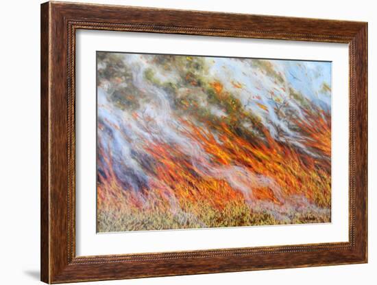 Bushfire Inferno, 2014-Tilly Willis-Framed Giclee Print