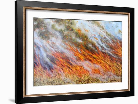 Bushfire Inferno, 2014-Tilly Willis-Framed Giclee Print