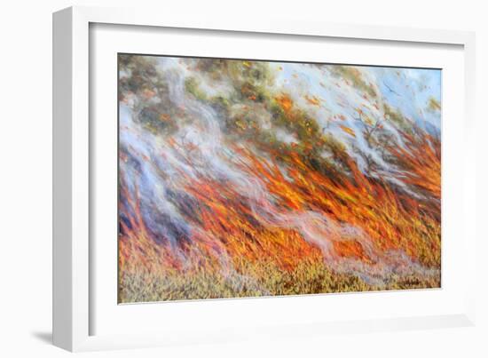 Bushfire Inferno, 2014-Tilly Willis-Framed Giclee Print