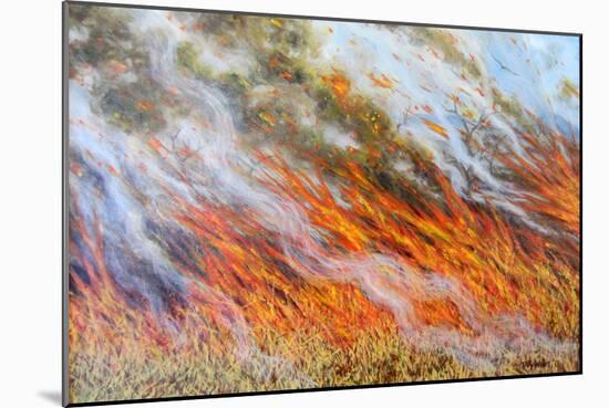 Bushfire Inferno, 2014-Tilly Willis-Mounted Giclee Print