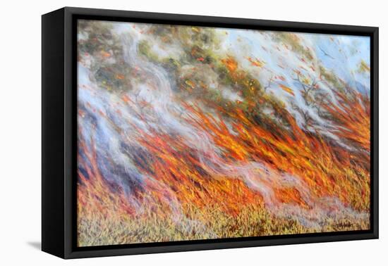 Bushfire Inferno, 2014-Tilly Willis-Framed Premier Image Canvas