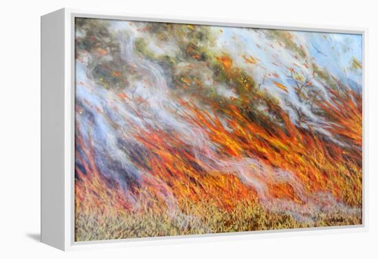 Bushfire Inferno, 2014-Tilly Willis-Framed Premier Image Canvas