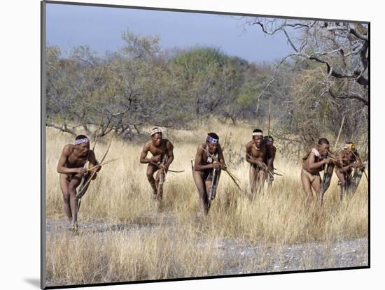 Bushman Hunter-Gatherers Makes Stealthy Approach Towards an Antelope, Bows and Arrows at Ready-Nigel Pavitt-Mounted Photographic Print