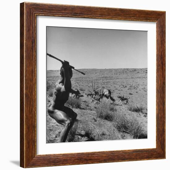 Bushman Throwing His Spear at a Winded Gemsbok, While His Dogs Circle It-null-Framed Photographic Print