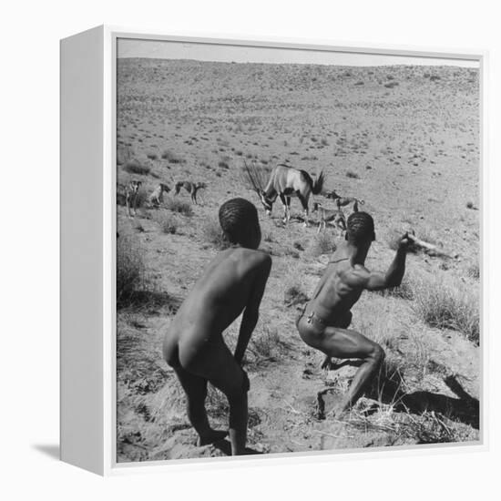 Bushman Throwing His Spear at a Winded Gemsbok-Nat Farbman-Framed Premier Image Canvas